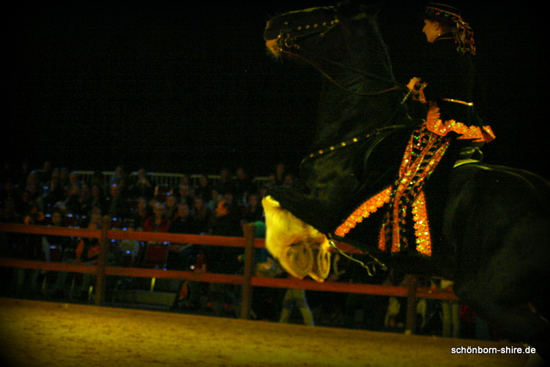 Shire Horse Stute Glory steigen